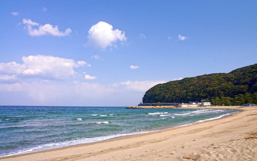 🏖️ 오하마 해수욕장(오하마카이간) 이미지 1